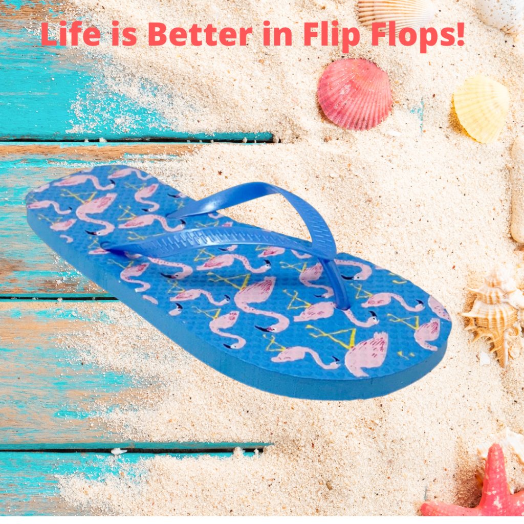 Flamingo Blue And Pink Flip Flops